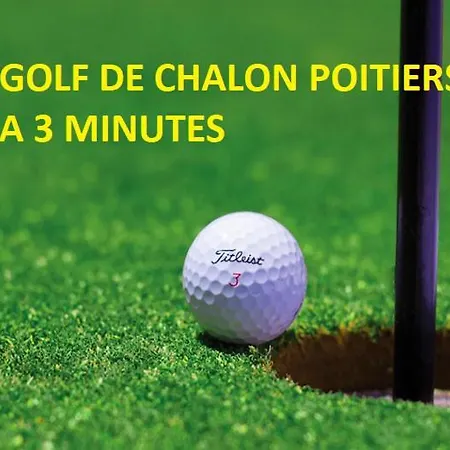 Apartment A Poitiers, 2 Chambres, Tres Bel De 65 M2 Poitiers