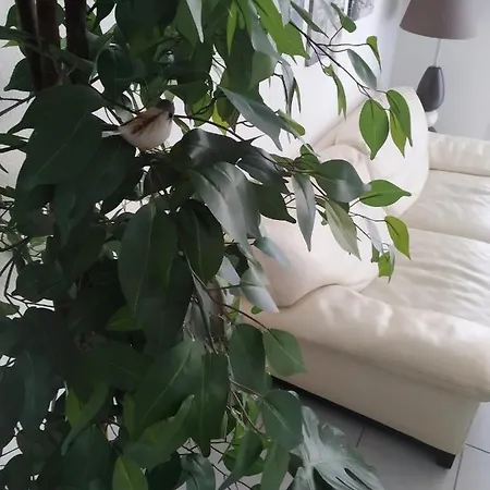 A Poitiers, 2 Chambres, Tres Bel De 65 M2 Apartment Poitiers